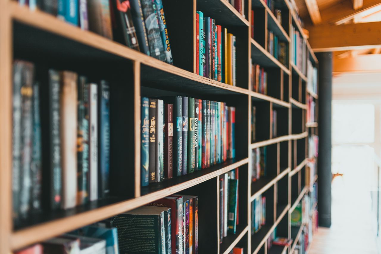 Book Shelves